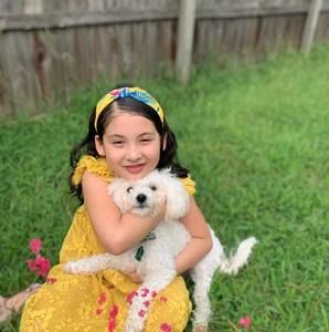 Meet your Posher, Belem